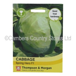 Thompson & Morgan Cabbage Spring Hero F1